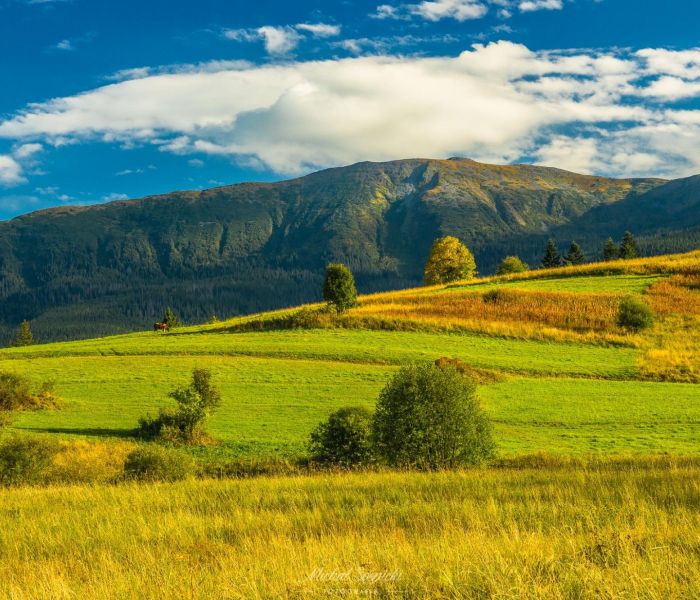 Domek w górach Willa Sonia