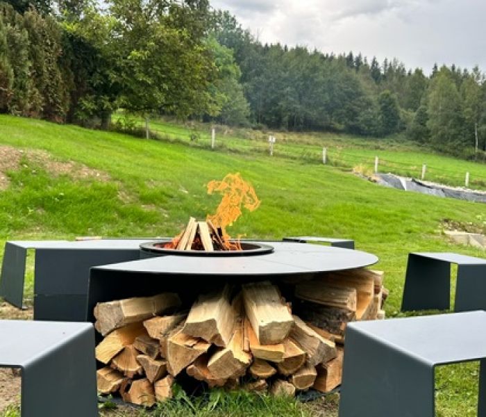 Willa Sonia Domek z Grillem