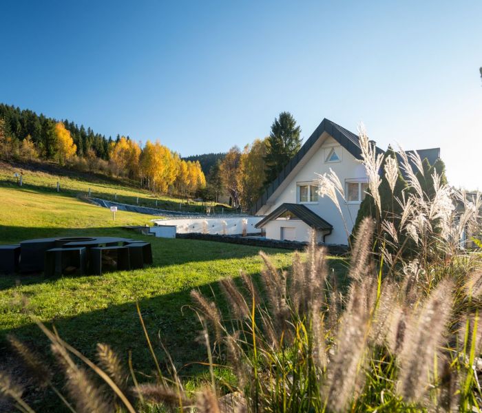 Willa Sonia palenisko